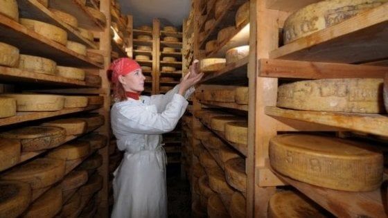 Belluno e le sue Dolomiti: un territorio d'eccellenza tra gusto, arte e sport