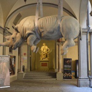 Sos rinoceronte, dalla Specola di Firenze l'allarme fra scienza, arte e superstizione