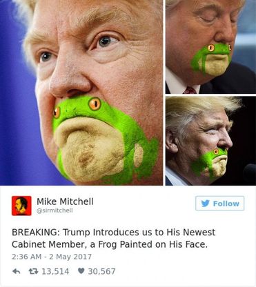 "È simile a una rana": ironia social sul mento di Trump