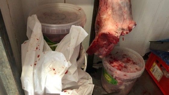 "Grave carenza sanitaria": chiusa una macelleria in via Savani