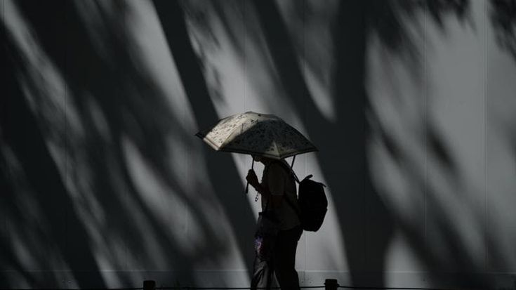Caldo, in Europa già oltre 35000 vittime: “Ma potrebbero essere molte di più”