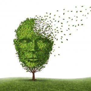 Schizofrenia, la causa in un gene che altera il processo di 'potatura' dei neuroni