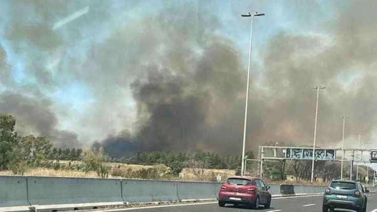 Task force dei vigili contro gli incendi: “Denunce lampo”