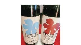 Celesta, il vino che non c’è
