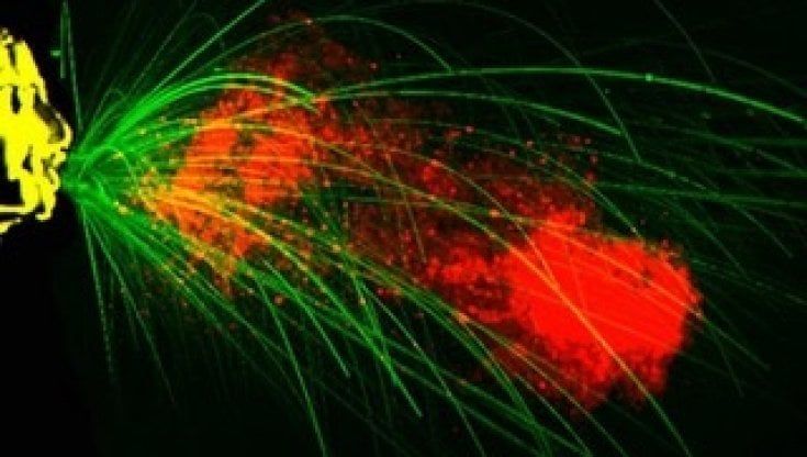Covid, nuovi parametri per calcolare come viaggia il virus