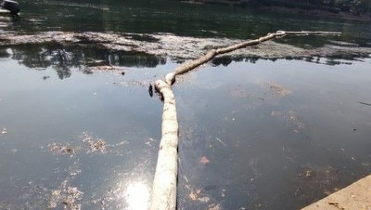Torino, non scompare la macchia oleosa nel Po: c'è troppa poca acqua nel fiume