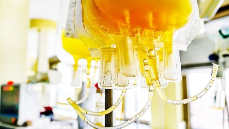 Coronavirus, 390 sacche di plasma hanno salvato la vita a un paziente con una malattia rara