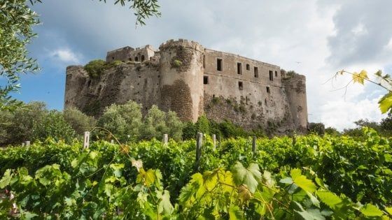 Ischia, nasce il vino del Castello aragonese