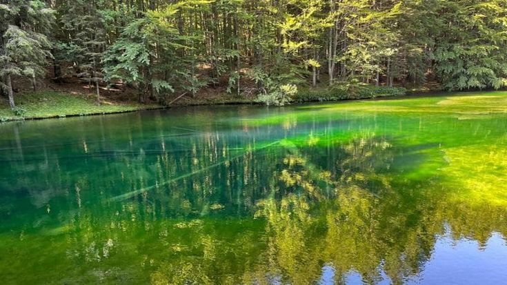 Nasce il Muval: un museo a cielo aperto per celebrare le bellezze e le tradizioni della Val d'Aveto