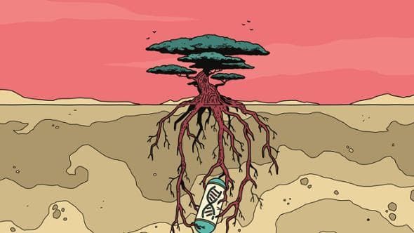 Si può sfidare la geologia con una capsula del tempo?
