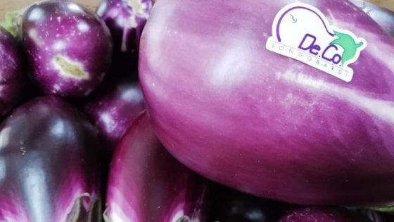 Il piccolo borgo calabrese salvato da una melanzana