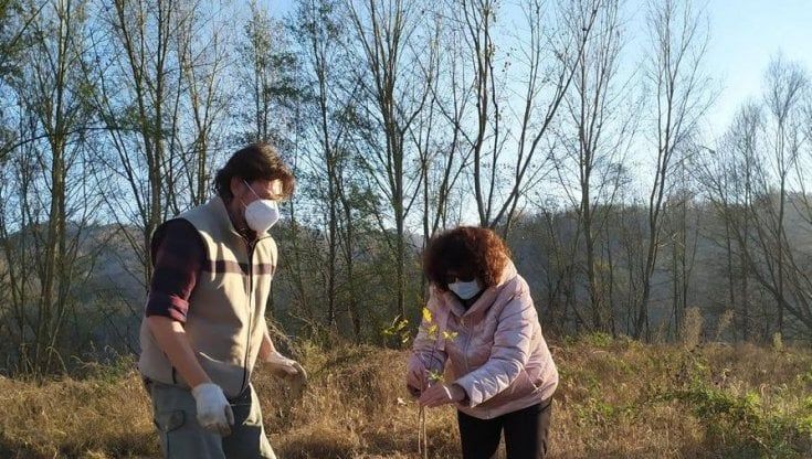 Sul Po nasce la Foresta condivisa: una "fabbrica di ossigeno" lunga 200 km da Casalgrasso alla Lombardia