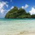 Tahiti. La stagione del Whale Watching