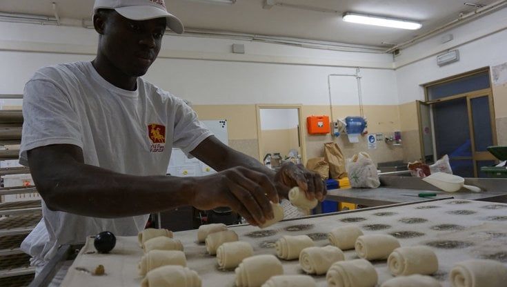 Nasce Bcoop: Biricca Parma e Orto Botanico di Fiorenzuola insieme