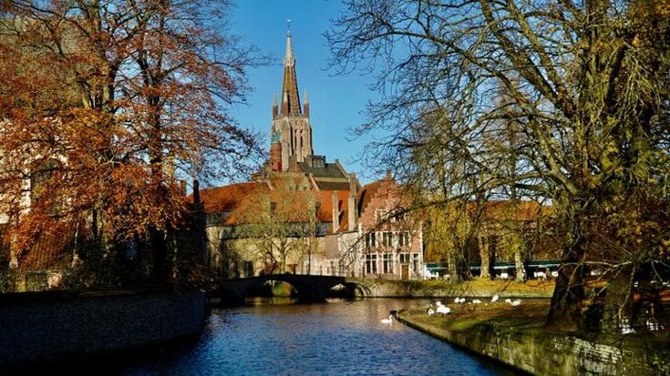 Bruges, Amsterdam e Rotterdam: immagini autunnali