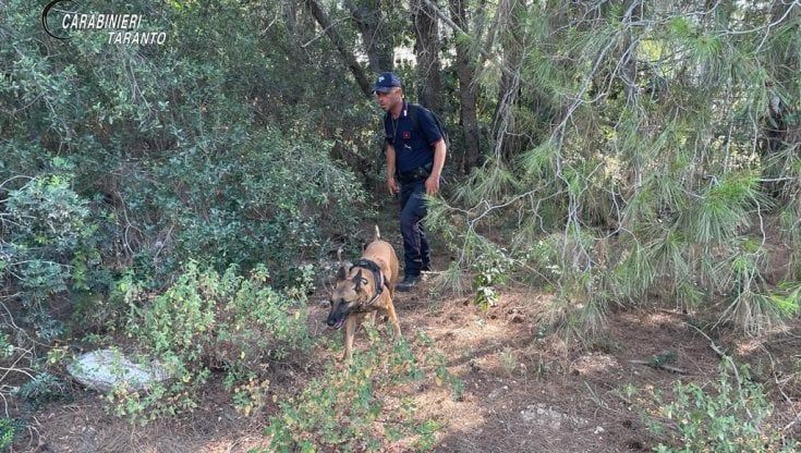 Cani avvelenati a Castellaneta Marina, in azione Maya e Africa: unità cinofile a caccia dei responsabili e delle altre esche