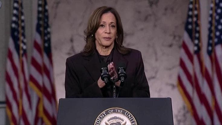 Usa 2024, Kamala Harris: "Dobbiamo accettare il risultato del voto"