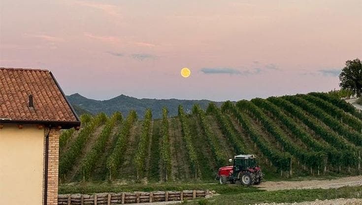 La new entry dei Colli tortonesi, tra l’avvincente Timorasso e la sorprendente Barbera