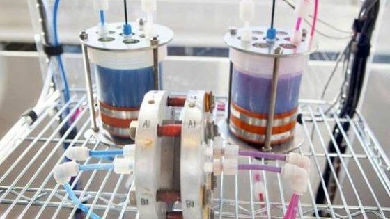 Una batteria al rabarbaro per accumulare energia dalle rinnovabili