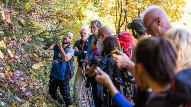 Foreste casentinesi, sentiero a numero chiuso: “Come alle Cinque terre, per tutelare questo luogo”