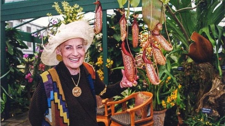 Ischia, nuovi percorsi ai Giardini la Mortella per celebrare lady Susana Walton