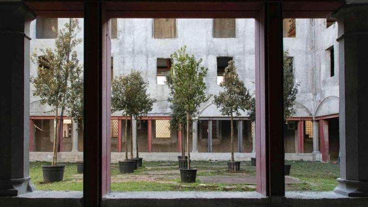 Sant’Orsola, il museo apre nel 2026. Intanto il chiostro diventa una foresta
