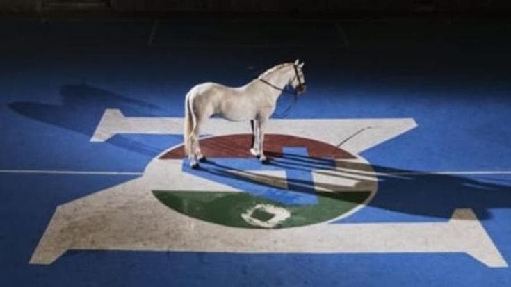 Centenario Napoli, inizia lo show: lunedì la nuova maglia, il 10 luglio la campagna abbonamenti