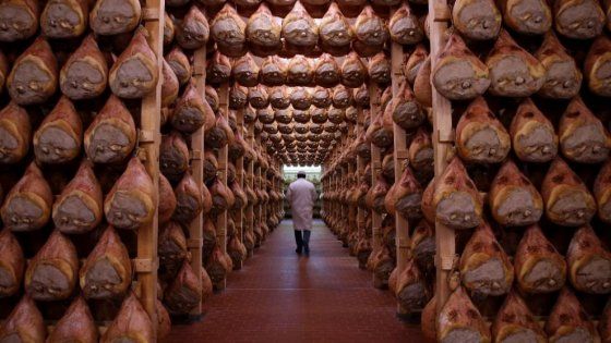 Parma città della gastronomia? Oggi il responso dell'Unesco
