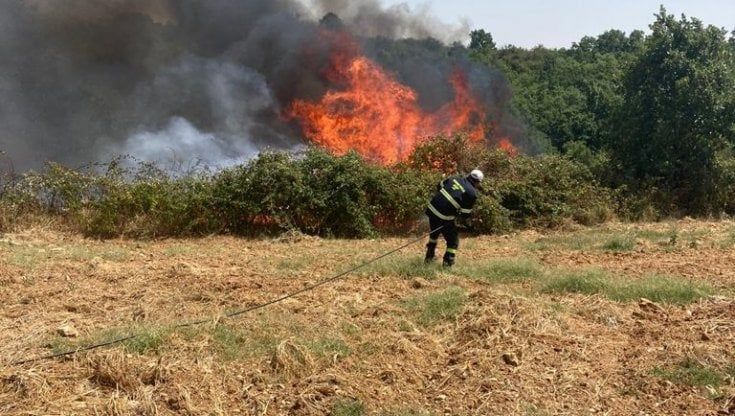 Incendi, continua a bruciare il Bosco di Gravina: "5 giorni da incubo lo stanno distruggendo: in fumo mille ettari"
