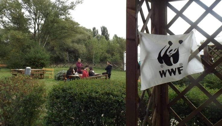 Potenza, crisi idrica: 6 milioni per rendere potabile acqua del lago Pantano. Wwf: valutare impatto