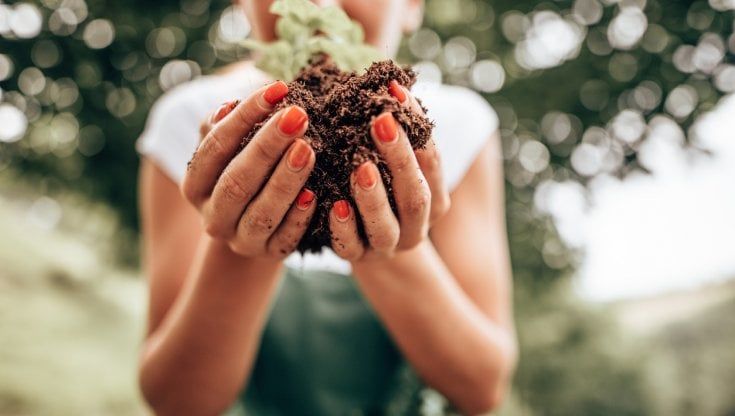 Osservatorio Enpaia-Censis: per il 74% degli italiani, gli agricoltori sostengono la lotta al riscaldamento globale