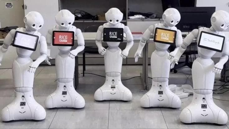 L'Europa e i fondi europei: dalle api elettroniche al monitoraggio dei gabbiani, l'innovazione è protagonista