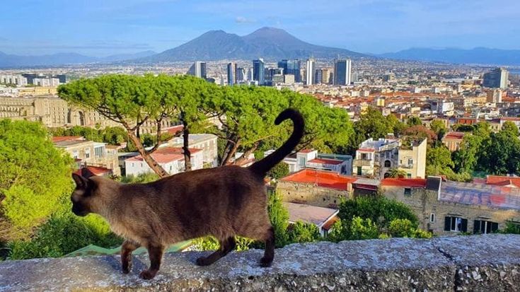 Napoli, arriva il Festival delle Scale