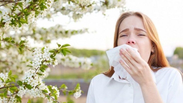 Allergie di primavera, i rimedi che le controllano