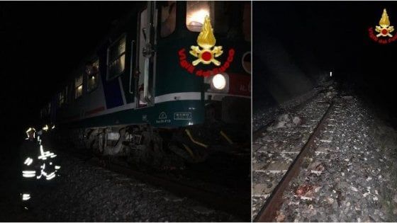 Treno travolge gregge di ovini a Siracusa, illesi i 18 passeggeri 