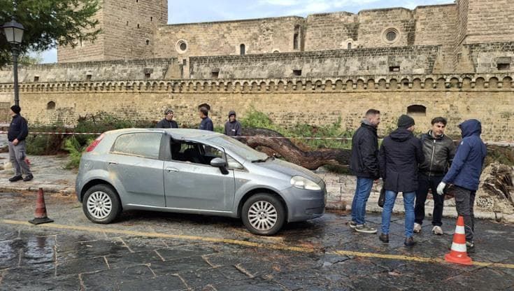 Maltempo, sottopassi allagati. Danni da Adelfia a Mola. Crolla un pino davanti al castello di Bari