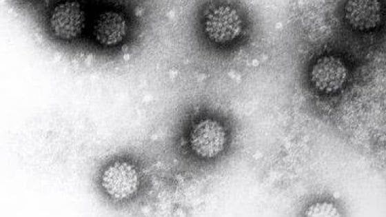 Screening tumori della cervice: addio al PAP test entro il 2018