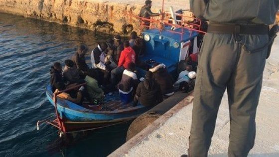 Sbarchi a Lampedusa,  il sindaco: "Il centro accoglienza è allo stremo"