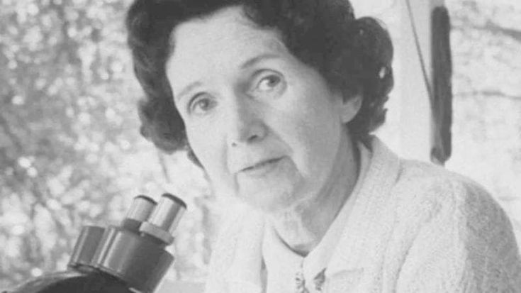 I guardiani della Terra: Rachel Carson, la nemica dell’insetticida