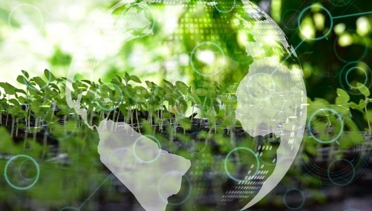 Lotta al greenwashing, nuove regole dell'Ue per contrastare le etichette green ingannevoli