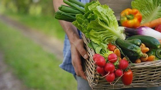 Durante le feste di Natale gli italiani hanno mangiato e bevuto bio 
