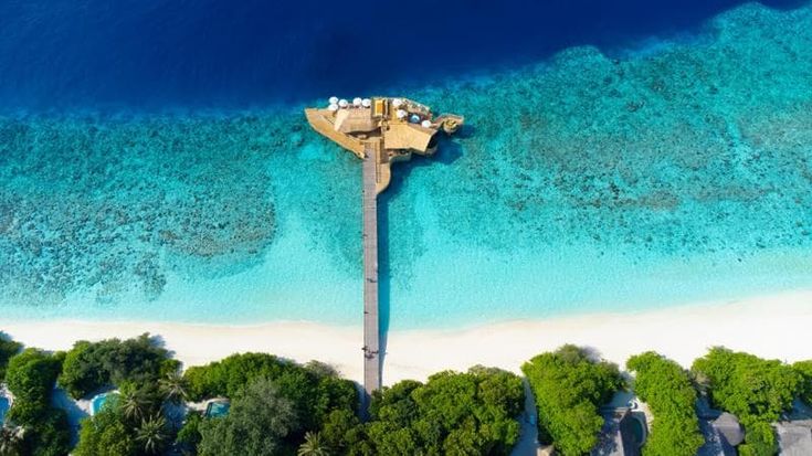 Maldive, il primo atollo senza zanzare al mondo. Le hanno “estinte” usando la natura