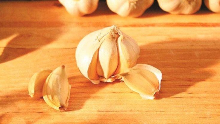 Berlusconi e Nuti, addio anche in cucina