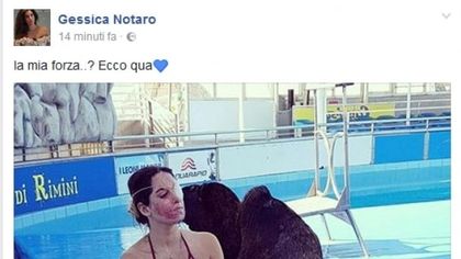 Gessica Notaro, la ragazza sfregiata con l'acido, accanto ai suoi leoni marini: 