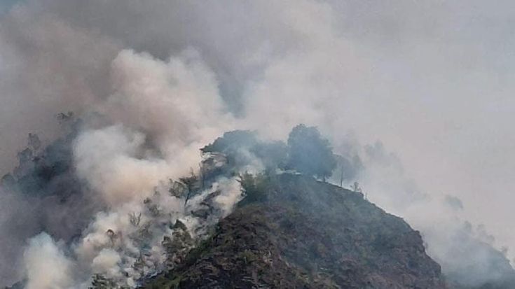 Caldo senza tregua sull’Europa. Ora a preoccupare sono gli incendi