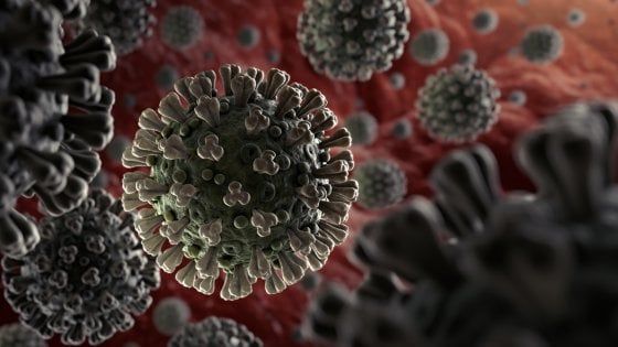 Coronavirus, si pensa a cambiare i nomi dei virus. Ed è polemica