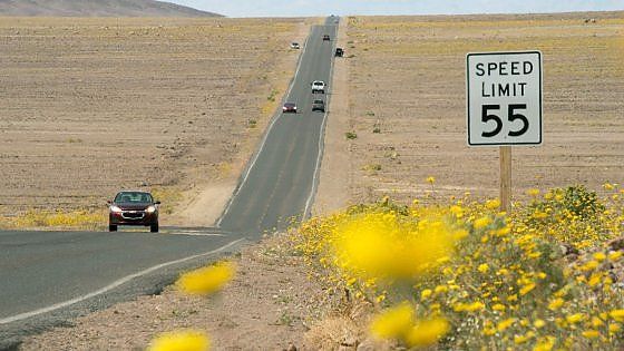 Colpa del Niño, la Death Valley diventa un parco fiorito