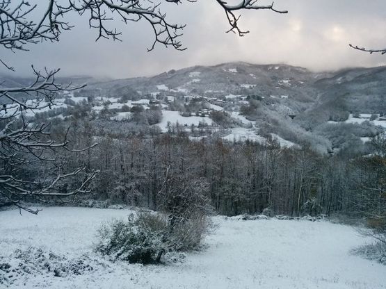 Dai Lagoni a Lesignano: Parmense imbiancato - Foto