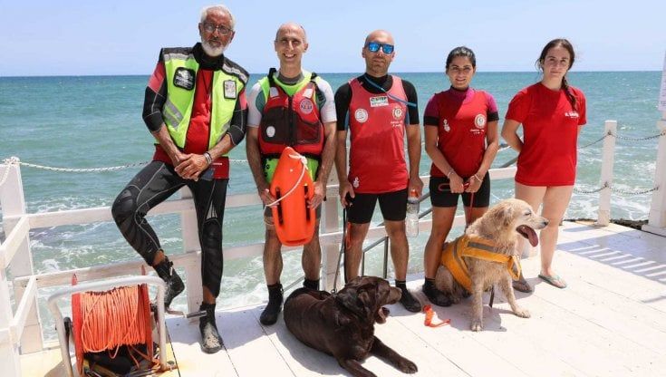 Da Pane e Pomodoro a Bari alle spiagge di Rosa Marina: i bagnini a 4 zampe traslocano dopo otto anni in città