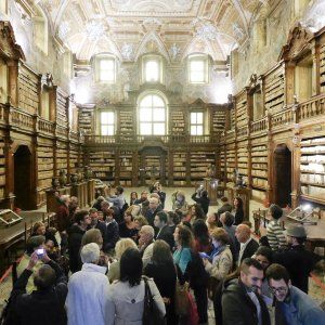 Musei gratis “C'è tanta voglia di cultura ma ora è tempo di chiedere un ticket anche simbolico”